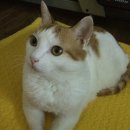 누리커뮤니케이션