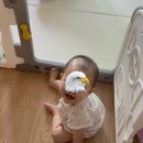 6월1주: 법정 공휴일이 시른 육아맘, 테토녀 지향 에겐녀, 애미도 틀카라카