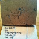 너는숲