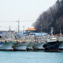 강구항 이미지