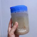 방촌로 | 대구 방촌동맛집 산간식당 든든한 백반집