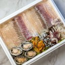 풍년수산회센타 | 속초 고성 회포장 추천 가성비 최고! 비치수산회센터 방문 후기