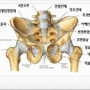 서혜 Daum카페