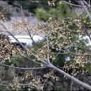 제주돌마을공원 이미지