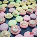 몽타의오븐 네이버블로그