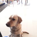 비울채울 이미지