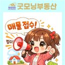 토니모리부산반여점
