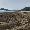 양촌보건진료소 이미지