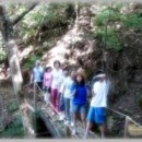 비젼농장 이미지