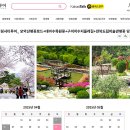 완주힐링로드시티투어 2코스 | 가볼만한곳 3곳 전북 벚꽃 명소 완주힐링시티투어 모악산 벚꽃로드 전북도립미술관 구이저수지둘레길...