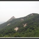 (주)스카우트 이미지
