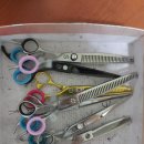 베베시앙 이미지