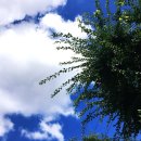 연합메디의원 이미지