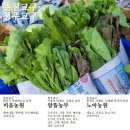 평창천년삼 이미지