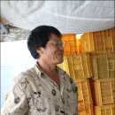 해남농장2 이미지