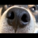 콧구멍PC방 이미지