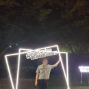 2024 수원화성 미디어아트 축제 후기&amp;행사정보 (+주차꿀팁)