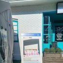 아이조아펫파크 동탄점 | 아이조아펫파크 동탄점 내돈내산/ 수원 애견동반바베