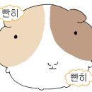 족발마씸 - 수성구 용학로 293-5 | 족발마씸