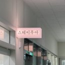 스테이 무아 이미지