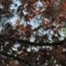 와인치과의원 이미지