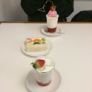 그린테크 | 그린테크라이프 5S 두 달 사용 후기