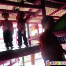 서청주어린이집 이미지