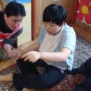 동산자원 이미지