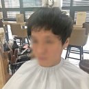 창조미용실 네이버블로그