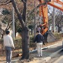 통신주 일등방송