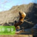 동백 죽전대로4-1 이미지