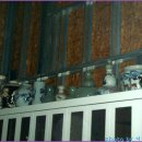 일영농장 이미지