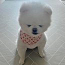 민경공방 이미지