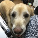 놀자놀자 이미지