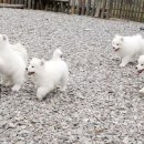 스타클라우드 이미지