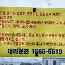 99.9털보회집