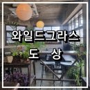 평택 카페추천 와일드그라스 도상 분위기좋은카페 타르트맛집 솔직후기