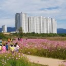 꽃단지 - 구리시 아차산로 62 | 꽃단지