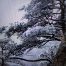 겨울나그네 이미지