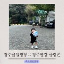 경주글램존 이미지