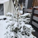 파파홈(문산점) 이미지