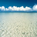 영어 회화 이미지