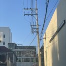 압구정 로데오 맥주집 / 구월당 내돈내산 수제맥주 후기