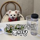 시거리식당 | 광교 카페거리 뽁식당 애견동반 식당 가성비 좋은 수원 이탈리안 레스토랑 내돈내산 후기