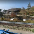 찬앤건스공인중개사사무소 이미지