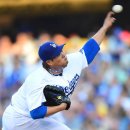 엠(M) 메이저 이미지