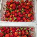 달을보는농부 이미지