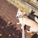 프로네앞마당 이미지