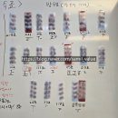 성남도시개발공사 노동조합 | 신규임용자교육(2일차) - 성남도시개발공사