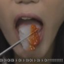 거창하개 이미지